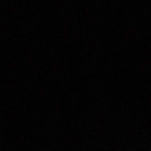 Meet your Posher, Belle